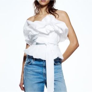 Zara Voluminous Poplin Top (L)
